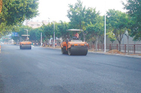 城市施工与道路绿化养护管理